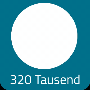 Visualisierung der Anzahl der Beschäftigten in der Kunststoffbranche - Anzahl 320.000