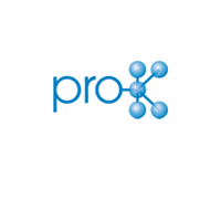 Logo ProK 1 1