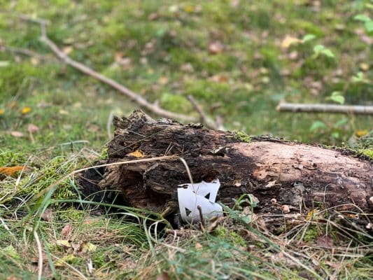 Alte Wuchshülle aus konventionellem nicht abbaubarem Material verwittert und eingewachsen